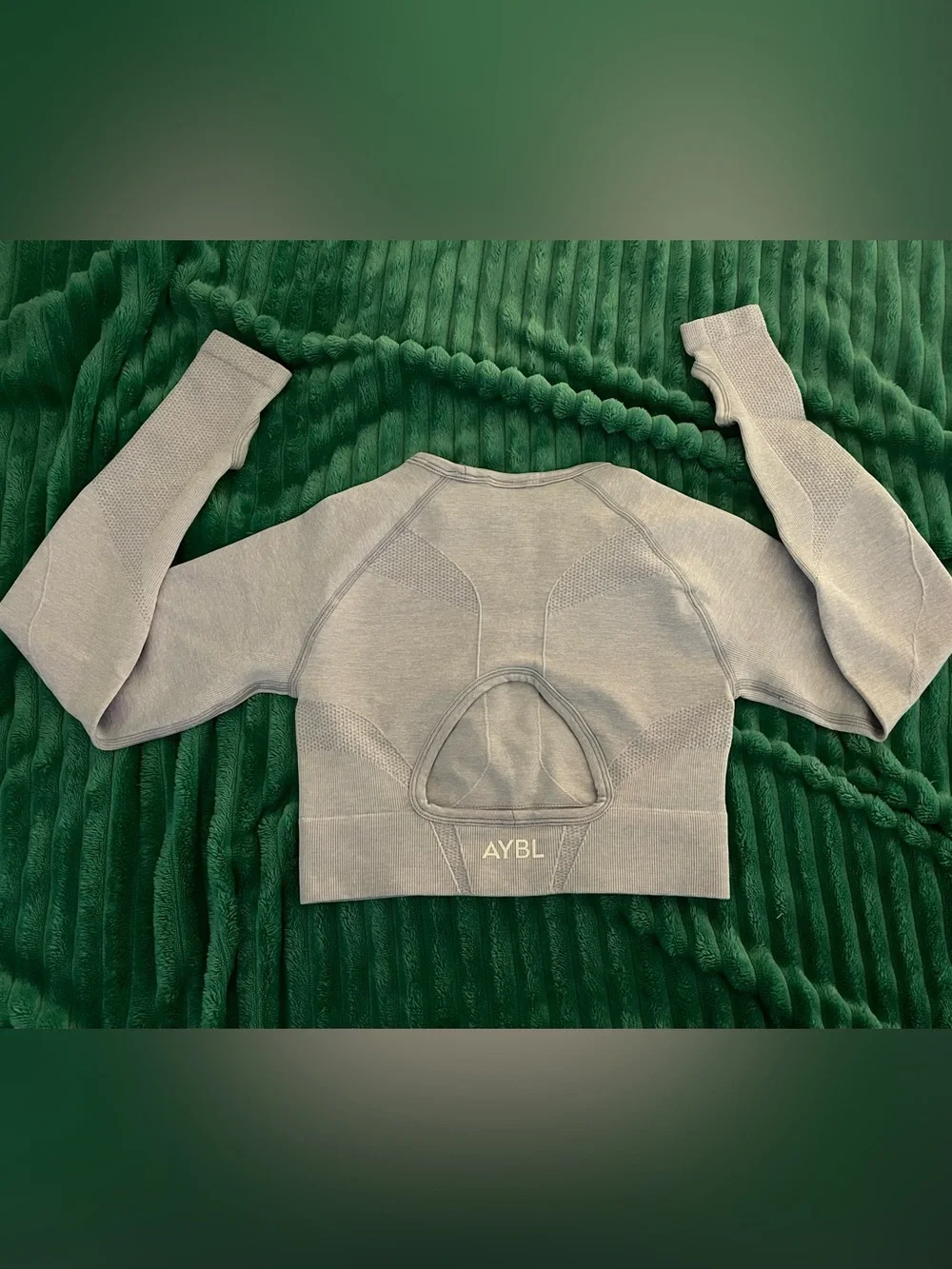 AYBL Seamless Crop Top in Ice Blue